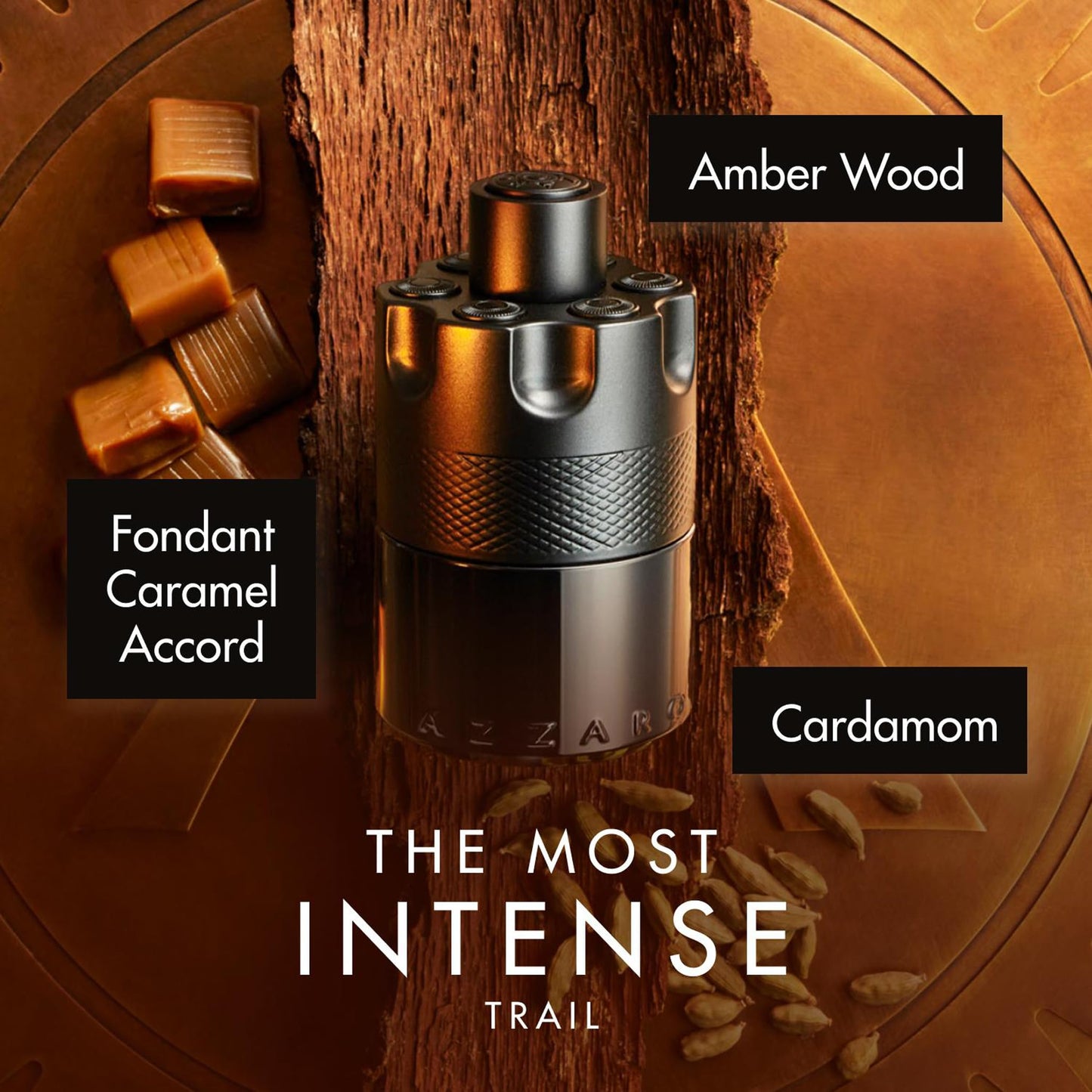 Azzaro The Most Wanted, Eau de Parfum Spray Intense, Perfume For Men, Spicy Fragrance with Fougere Oriental accord, 100ml