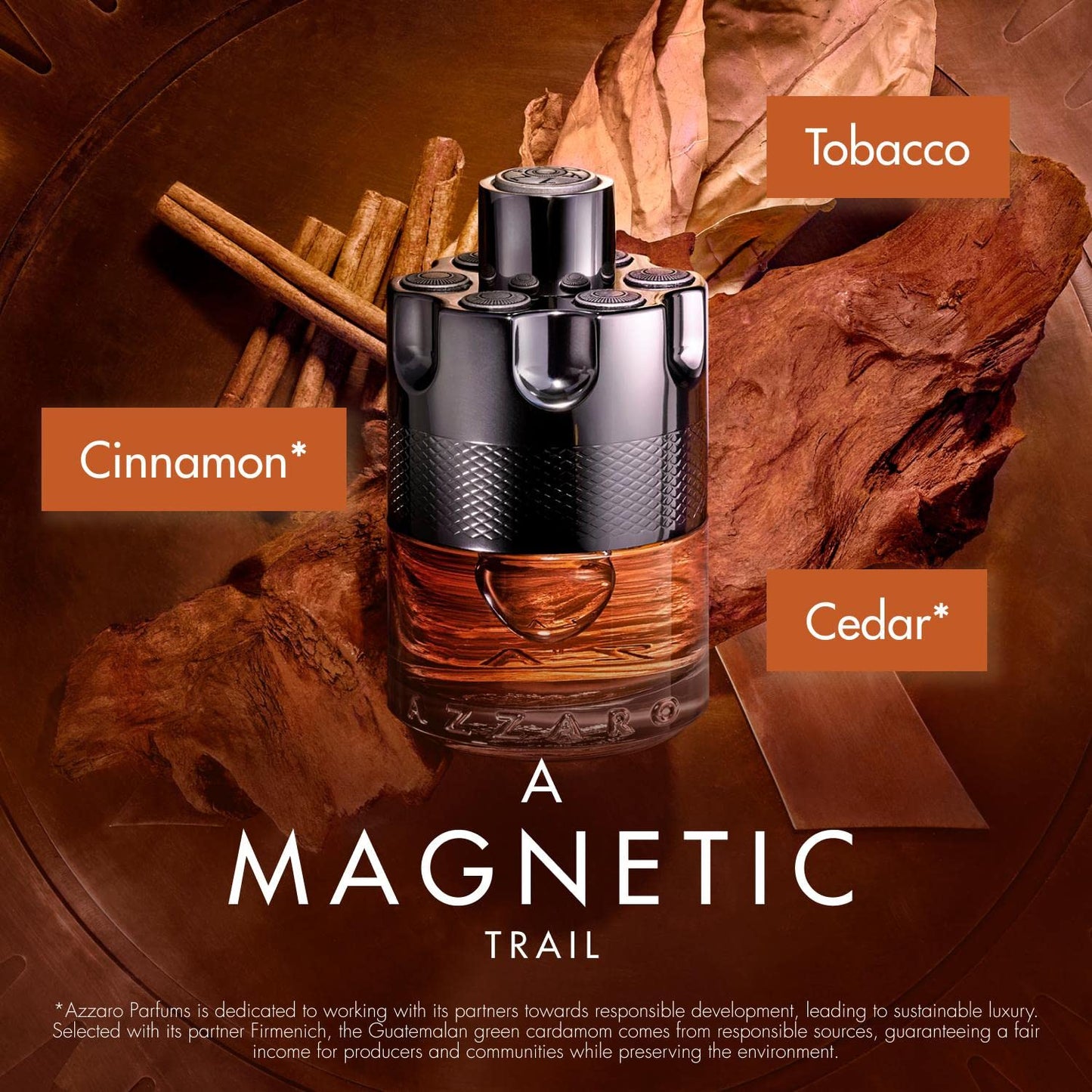 Azzaro Wanted by Night, Eau de Parfum Spray, Spicy Woody Fragrance, Perfume For Men, 100ml