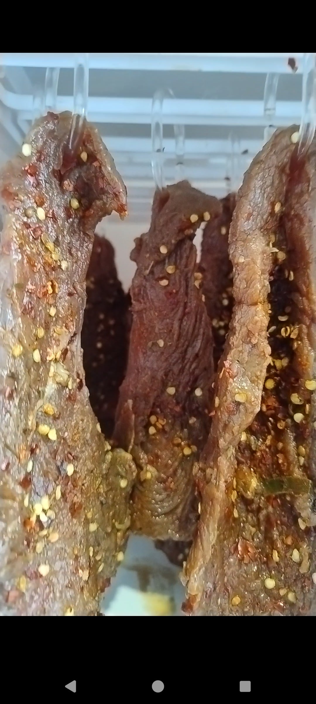 Biltong dehydration machine