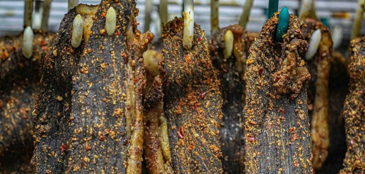 Biltong Bites and Spicy Jerky